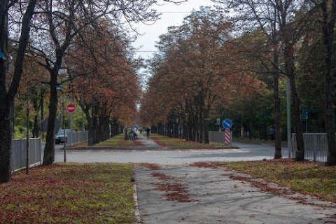 ВСП "Дитяча інженерна академія" НПУ імені М.П. Драгоманова