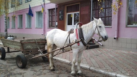 Ліцей харчових технологій