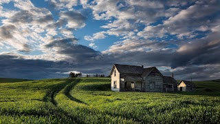 Ірпінський ЗЗСО-ліцей Альпа Скул