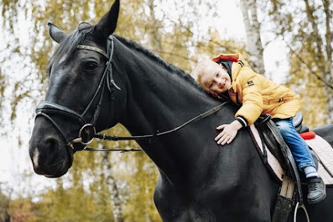 Коні Львів кінний клуб Грація