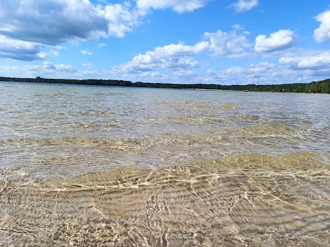 Лісова пісня