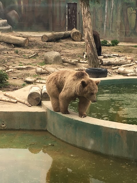 Луцький зоопарк