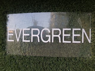 Espresso bar "evergreen"