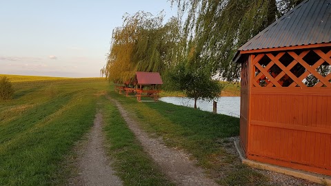 Боричівський став