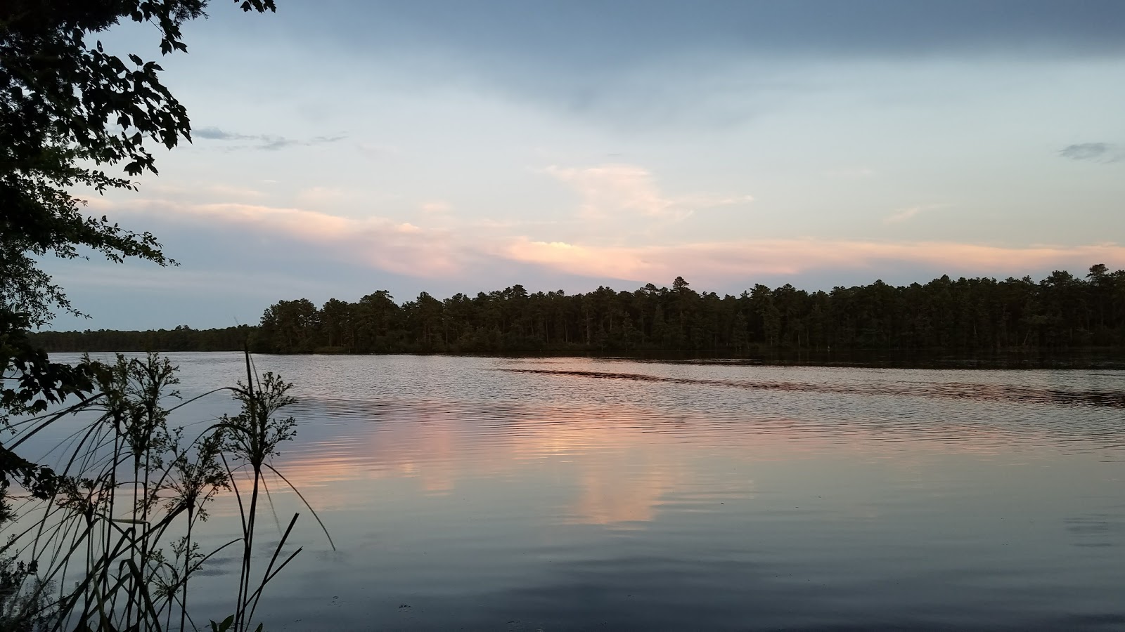 Wharton/Atsion Family Campground