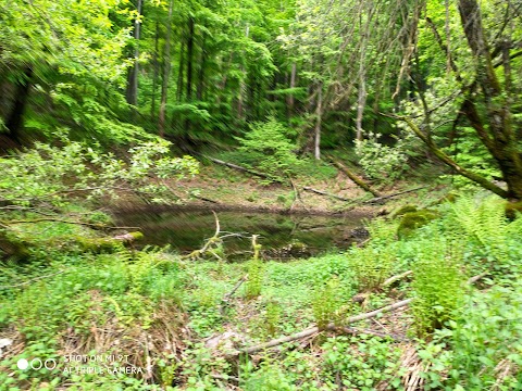 Ворочевські озера