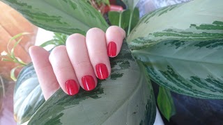 GM NAIL STUDIO маникюр/педикюр/брови