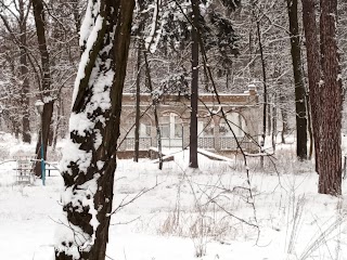 Київський обласний дитячий санаторій