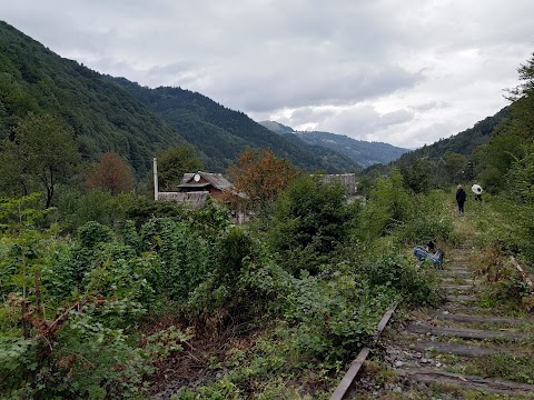 Карпатський біосферний заповідник