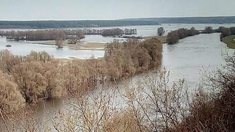 Гостинна садиба для відпочинку