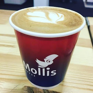 Mollis Coffee