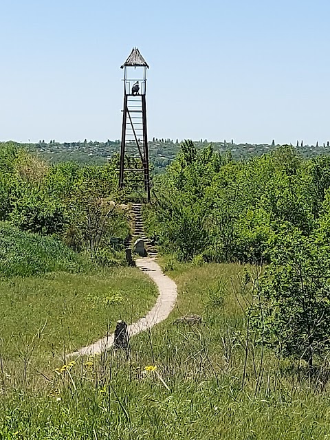 Скіфський стан