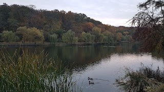 Голосеевский парк