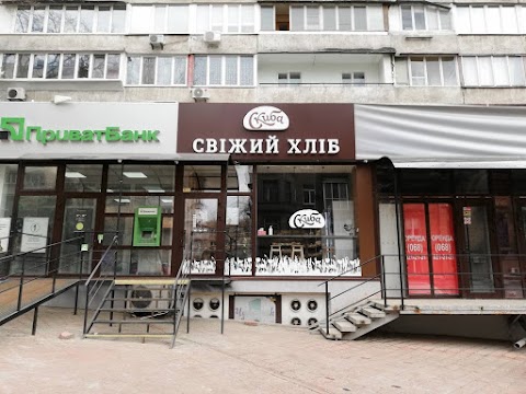 Скиба