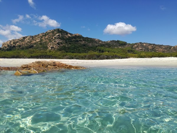 foto della Sos Cannatzellos Beach