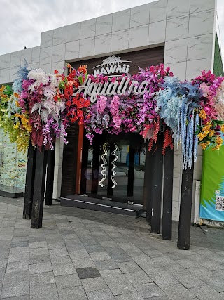 Restoran "Aqualina Odessa"