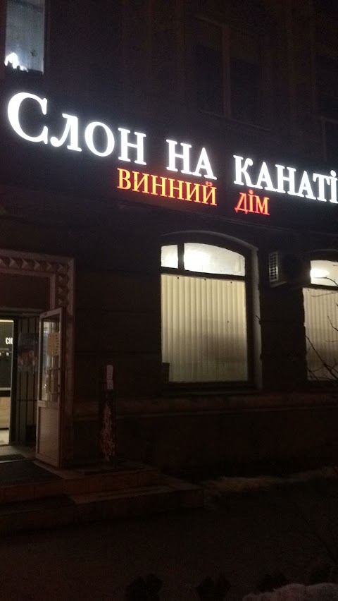 Слон на канаті