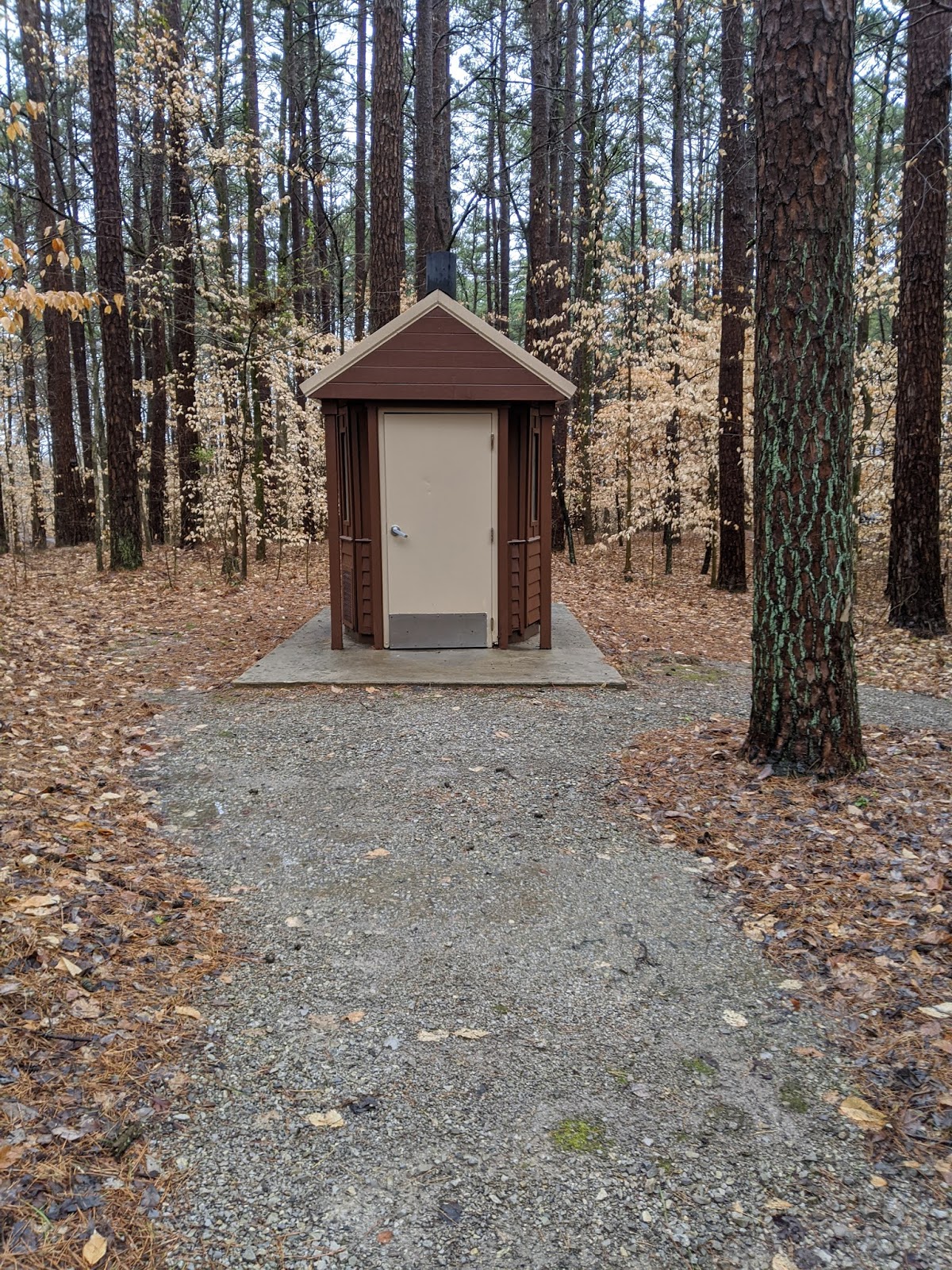 Shawnee/Redbud Campground-Bell Smith Rec Area