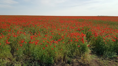 зупинка ХРИСТИНОВКА