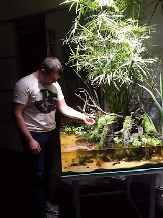 Aquarium Service Poltava