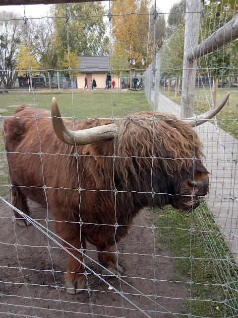 Сімейний екопарк Ясногородка