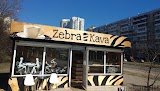 Zebra Kava