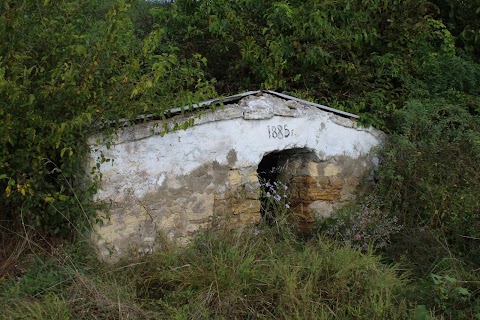 Старый родник