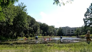 Погулянка народний музичний театр студія