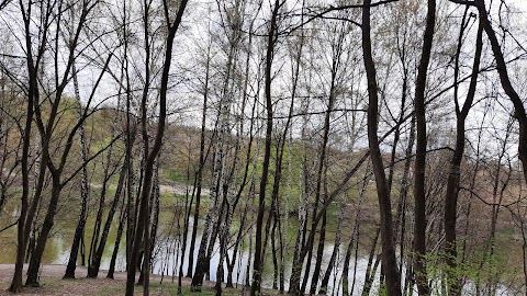 ZipLine Активна Країна Дідорівка