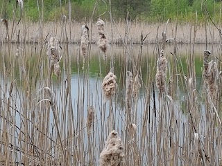 Велопрокат СІВЕРКА