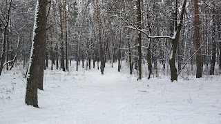 Парк відпочинку імені М. Стельмаха