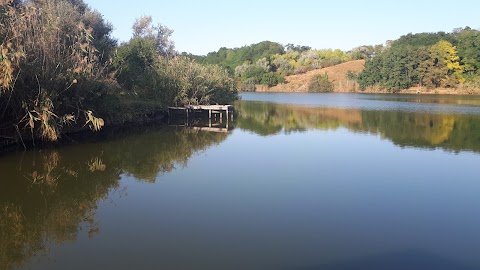 Тиха гавань