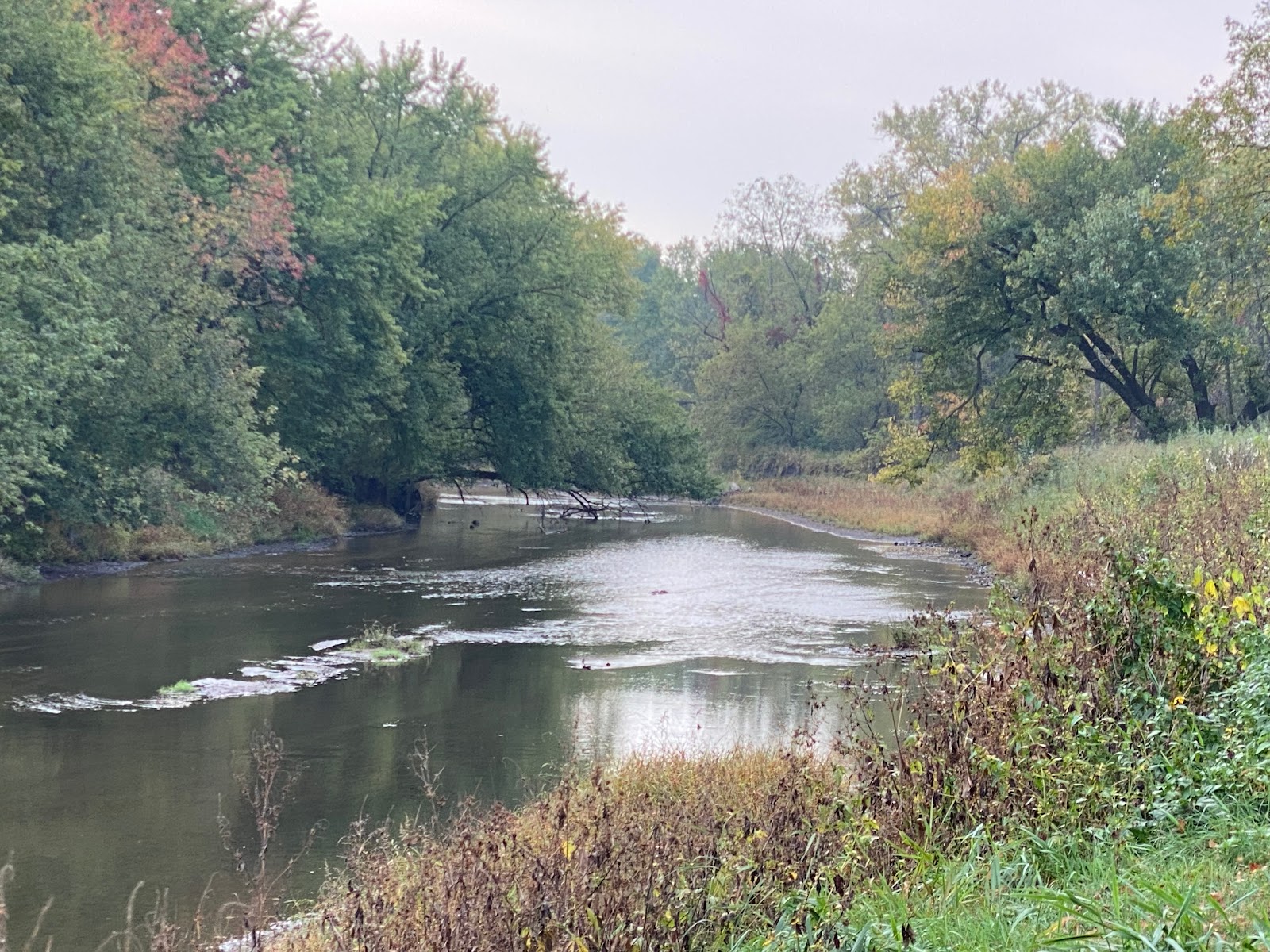 Buffalo Creek Park-Walnut Grove Campground (Linn County Park)