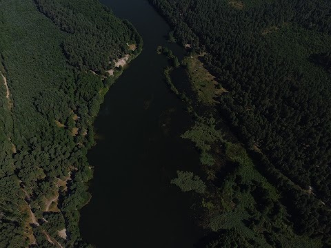 Фестиваль Тверезі люди