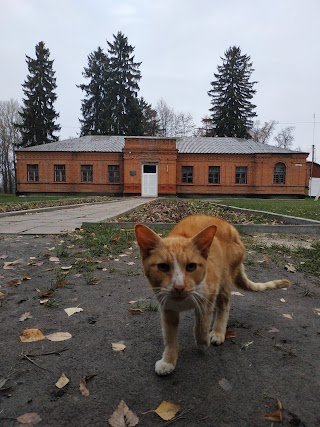 ЛУКІВСЬКА ЗАГАЛЬНООСВІТНЯ ШКОЛА І-ІІІ СТУПЕНІВ ЖИТОМИРСЬКОГО РАЙОНУ ЖИТОМИРСЬКОЇ ОБЛАСТІ