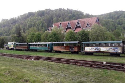 Feel Ukraine - екскурсії по Львову, тури в Карпати на Закарпаття