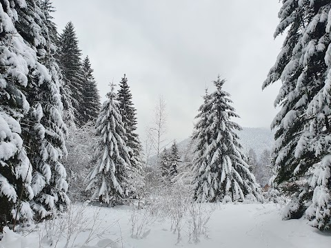 Котеджний комплекс "Підліснів"