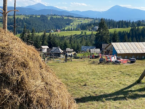 Полонина Перці