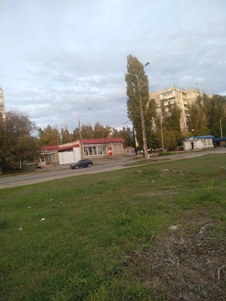 Осіпок