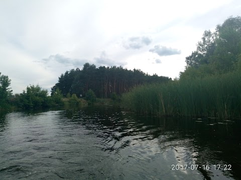 Реабілітаційний центр "Вибір"