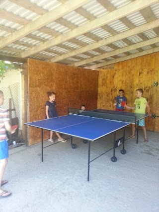 Tennis Table - теннисные столы и аксессуары для настольного тенниса и пинг понга.