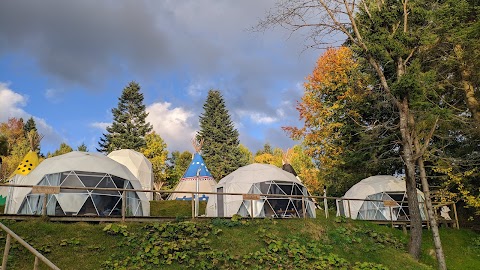 Глемпінг Едельвейс