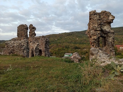 Виноградівський замок (Замок Канків)