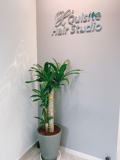 photo of X'quisite Hair Studio