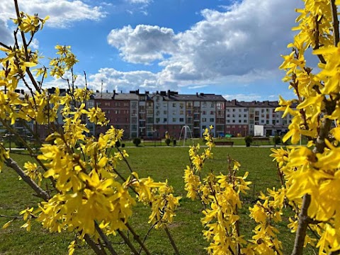 На Щасливому, інформаційний центр