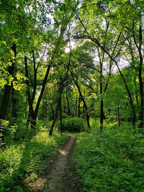 Рижовський парк