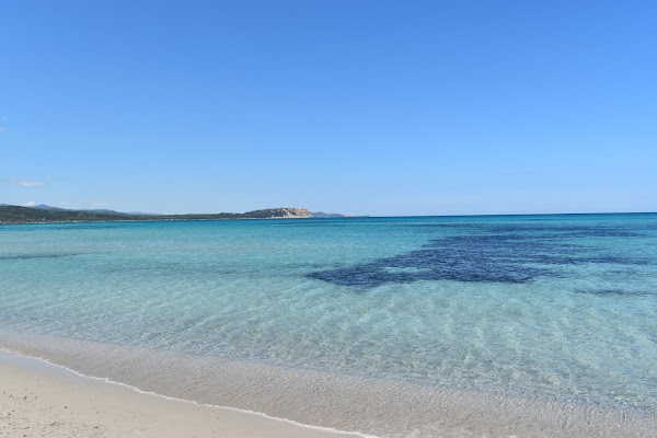 foto della Spiaggia di Rena Majori