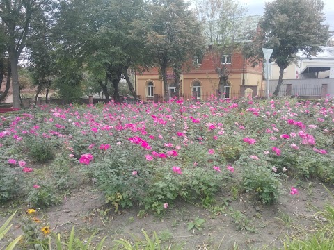 Перукар-сервіс