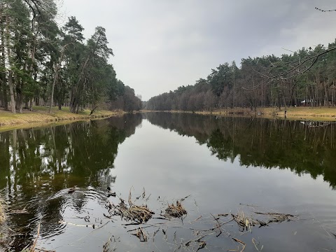 Пуща-Водиця