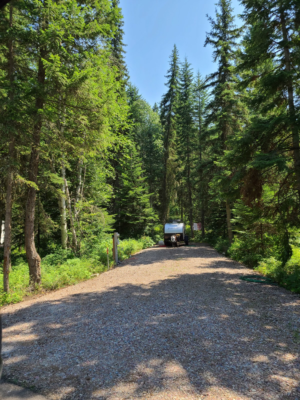 Montana's Pine Meadow RV Retreat